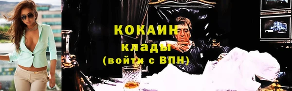 амф Богданович