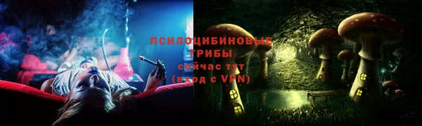 амф Богданович