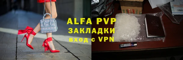 амф Богданович