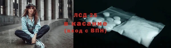 амф Богданович