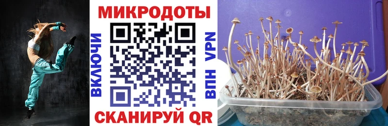 Галлюциногенные грибы GOLDEN TEACHER  Каспийск 